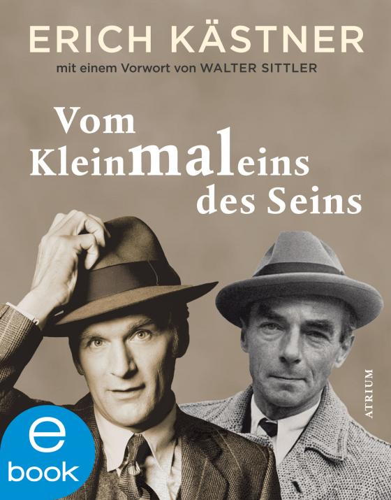 Cover-Bild Vom Kleinmaleins des Seins