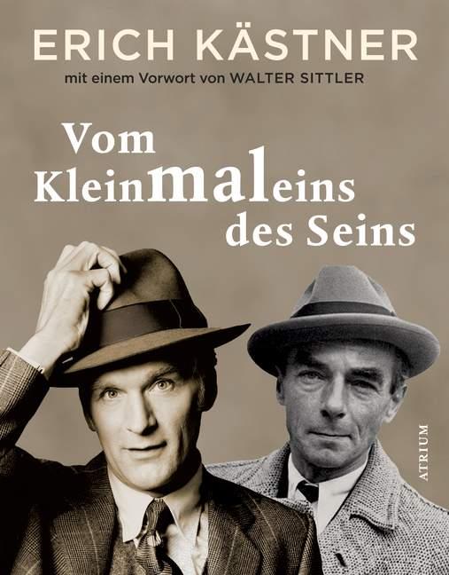 Cover-Bild Vom Kleinmaleins des Seins