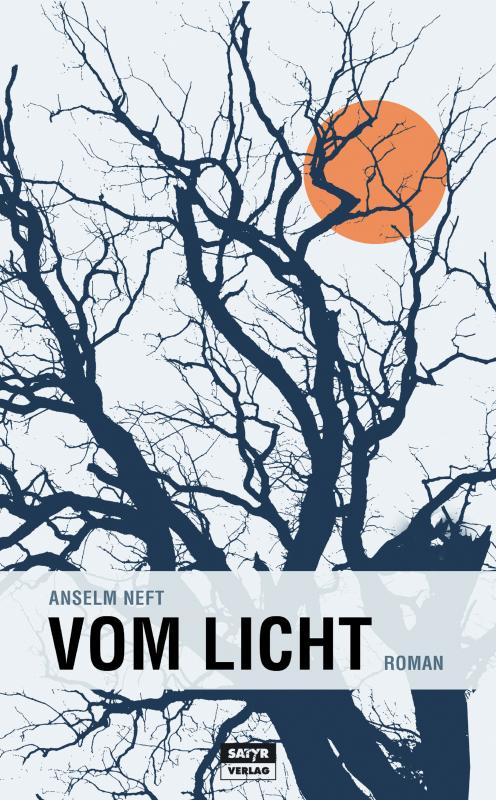Cover-Bild Vom Licht