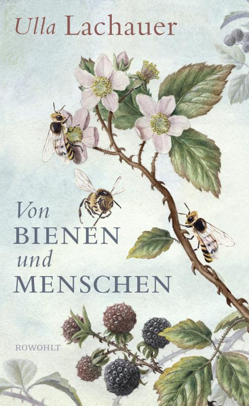 Cover-Bild Von Bienen und Menschen