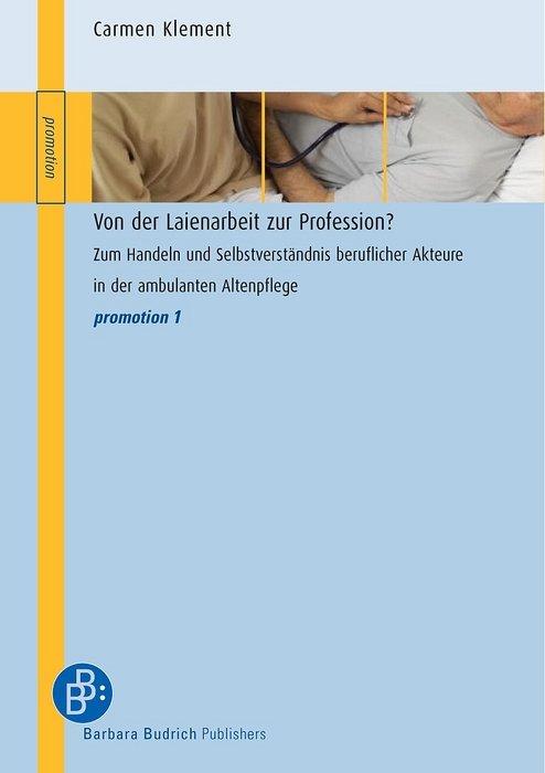 Cover-Bild Von der Laienarbeit zur Profession?