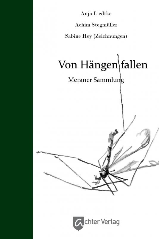 Cover-Bild Von Hängen fallen