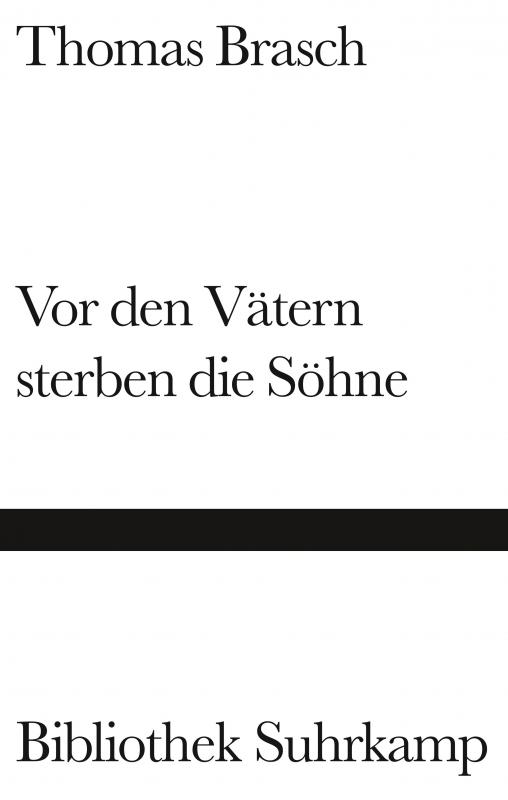 Cover-Bild Vor den Vätern sterben die Söhne