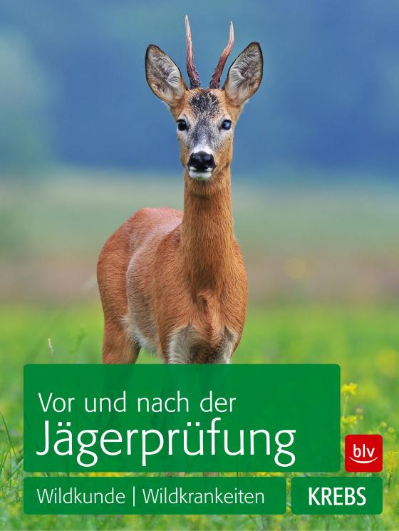 Cover-Bild Vor und nach der Jägerprüfung: TEILAUSGABE Wildkunde, Wildkrankheiten