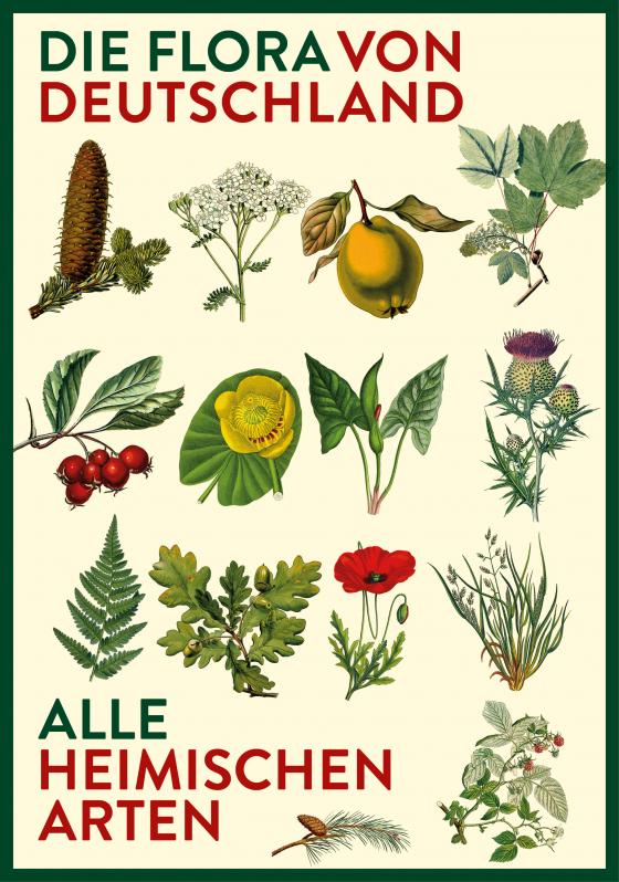 Cover-Bild Vorzugsausgabe: Die Flora von Deutschland. Alle heimischen Arten