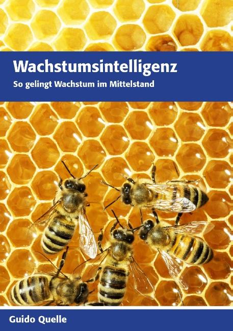 Cover-Bild Wachstumsintelligenz