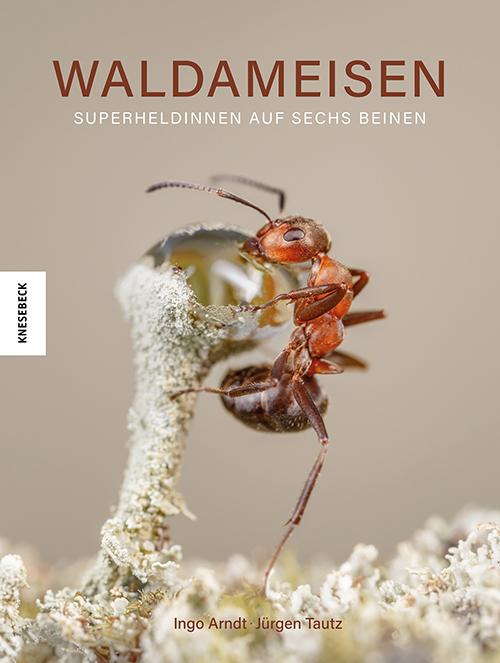 Cover-Bild Waldameisen