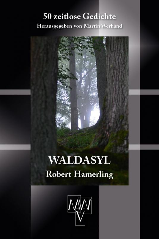 Cover-Bild Waldasyl