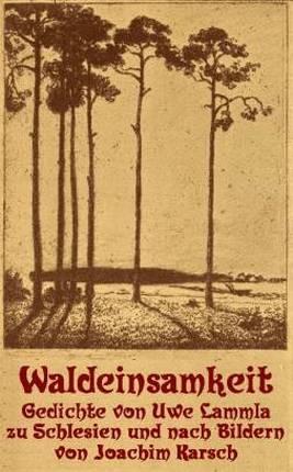 Cover-Bild Waldeinsamkeit