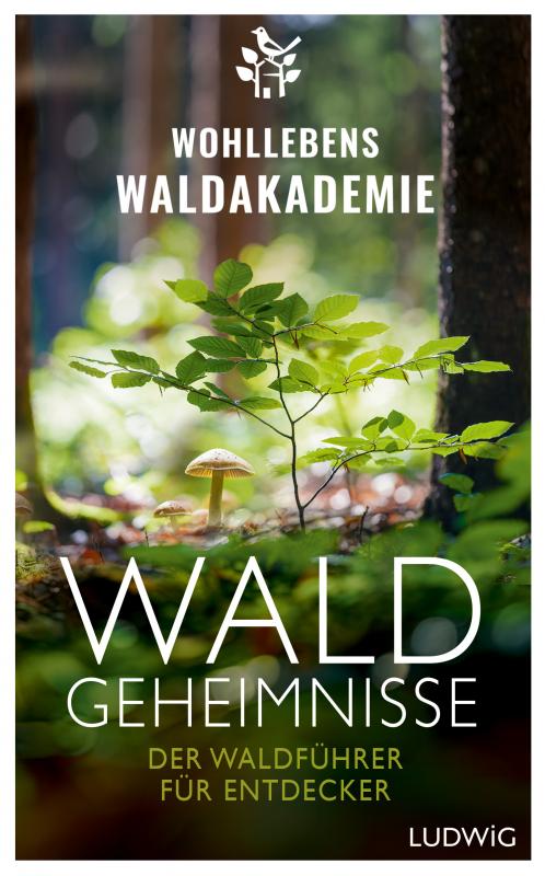 Cover-Bild Waldgeheimnisse