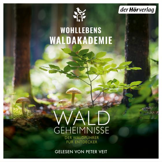 Cover-Bild Waldgeheimnisse