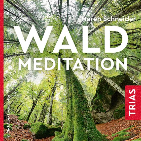 Cover-Bild Waldmeditation