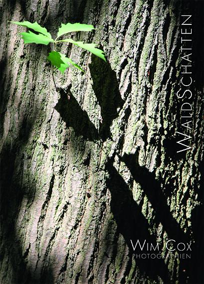 Cover-Bild Waldschatten