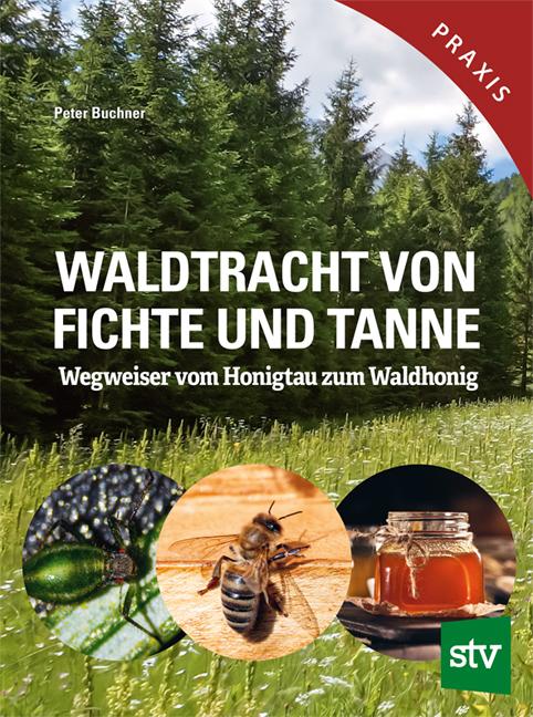 Cover-Bild Waldtracht von Fichte und Tanne