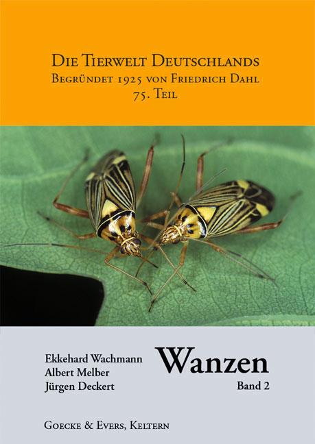 Cover-Bild Wanzen Band 2