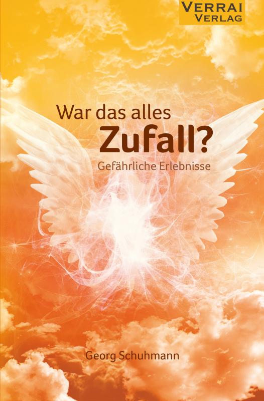 Cover-Bild War das alles Zufall?