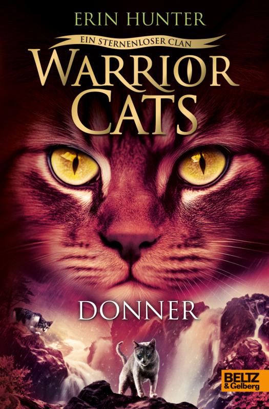 Cover-Bild Warrior Cats - Ein sternenloser Clan. Donner