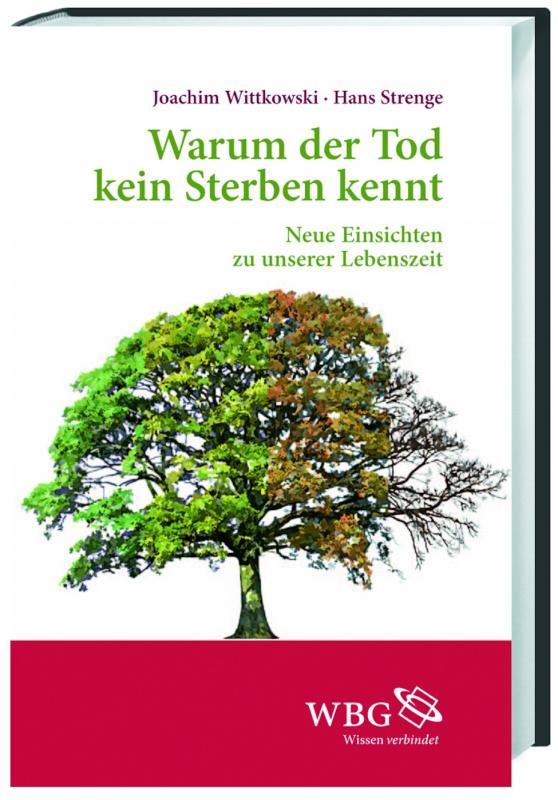 Cover-Bild Warum der Tod kein Sterben kennt