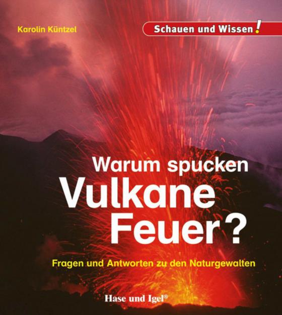 Cover-Bild Warum spucken Vulkane Feuer?