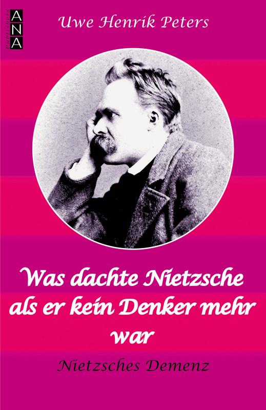 Cover-Bild Was dachte Nietzsche, als er kein Denker mehr war?