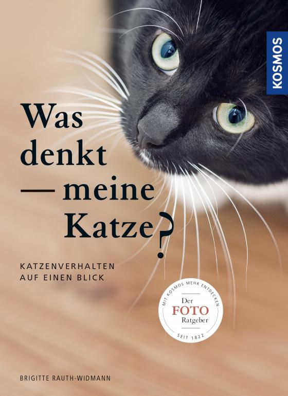 Cover-Bild Was denkt meine Katze?