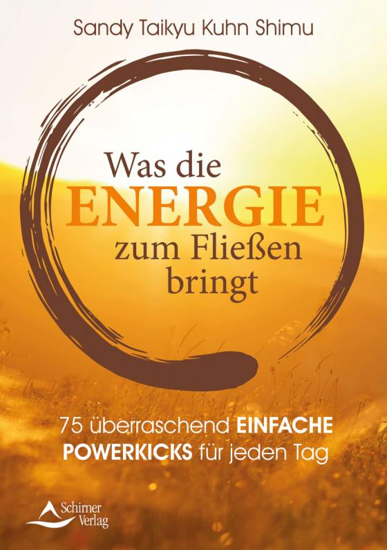 Cover-Bild Was die Energie zum Fließen bringt