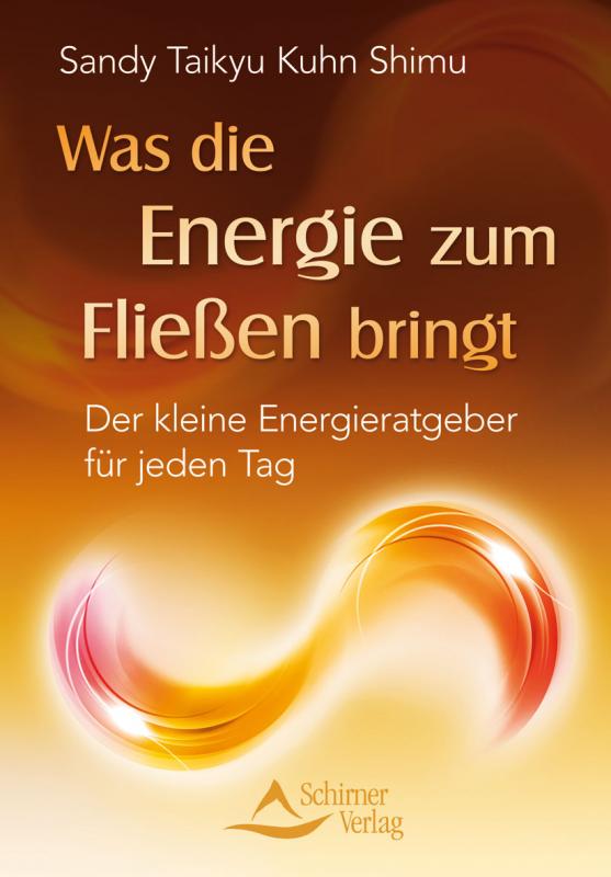 Cover-Bild Was die Energie zum Fließen bringt