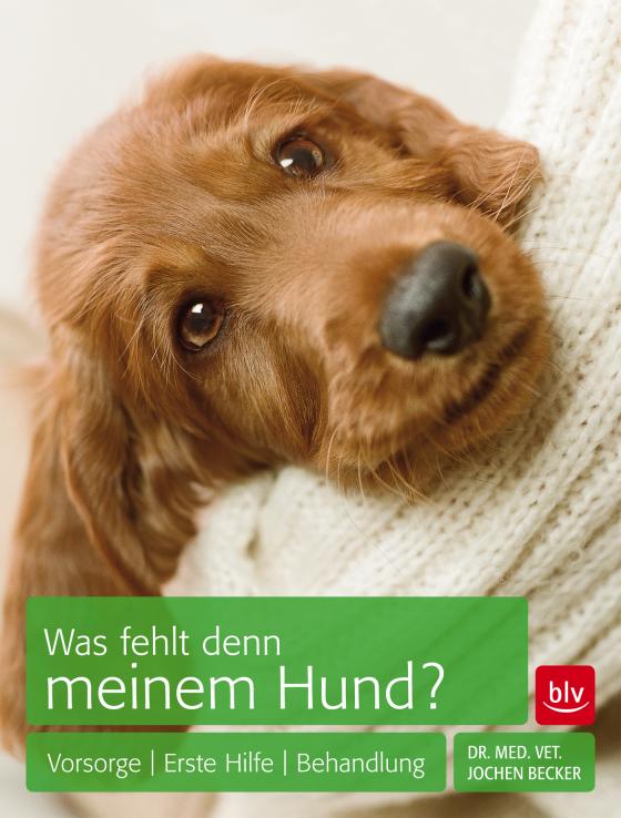 Cover-Bild Was fehlt denn meinem Hund?