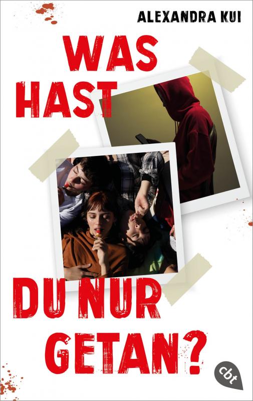 Cover-Bild Was hast du nur getan?