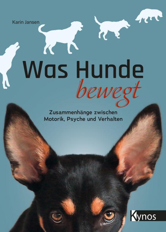 Cover-Bild Was Hunde bewegt