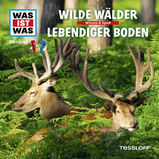 Cover-Bild WAS IST WAS Hörspiel. Wilde Wälder / Lebendiger Boden.