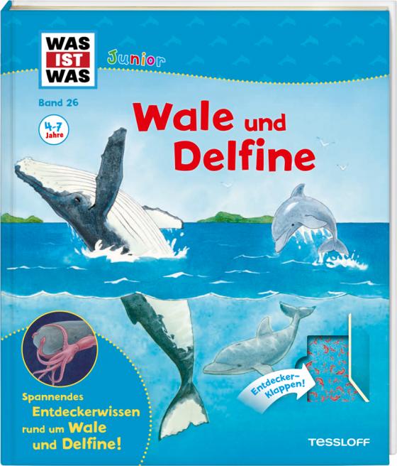 Cover-Bild WAS IST WAS Junior Band 26. Wale und Delfine