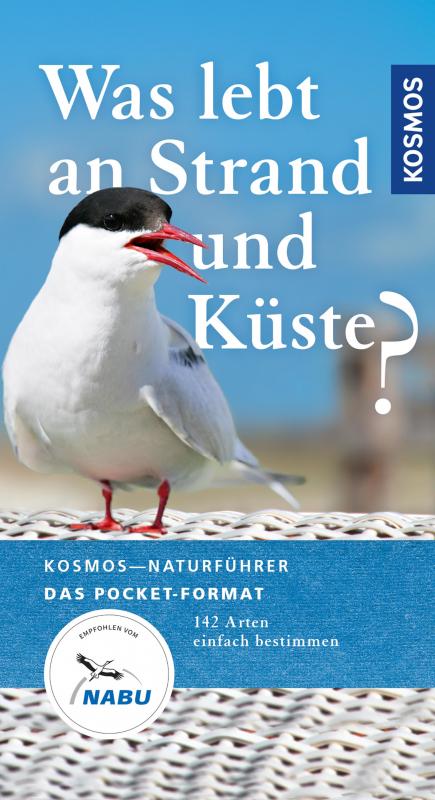 Cover-Bild Was lebt an Strand und Küste?