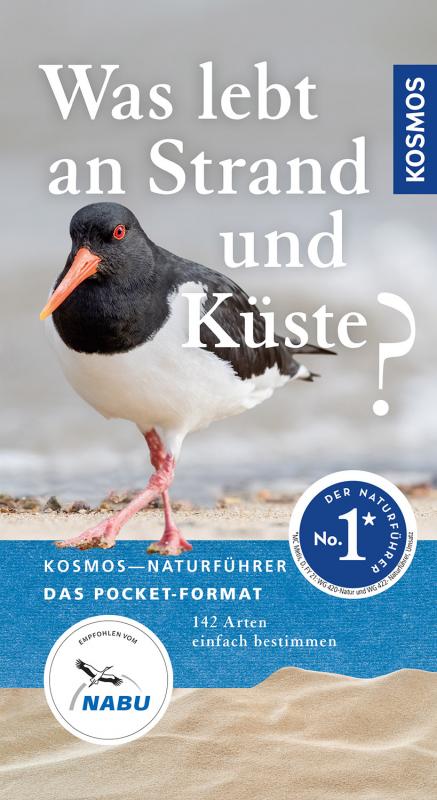 Cover-Bild Was lebt an Strand und Küste?