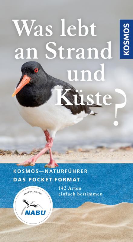 Cover-Bild Was lebt an Strand und Küste?