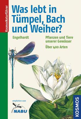 Cover-Bild Was lebt in Tümpel, Bach und Weiher?