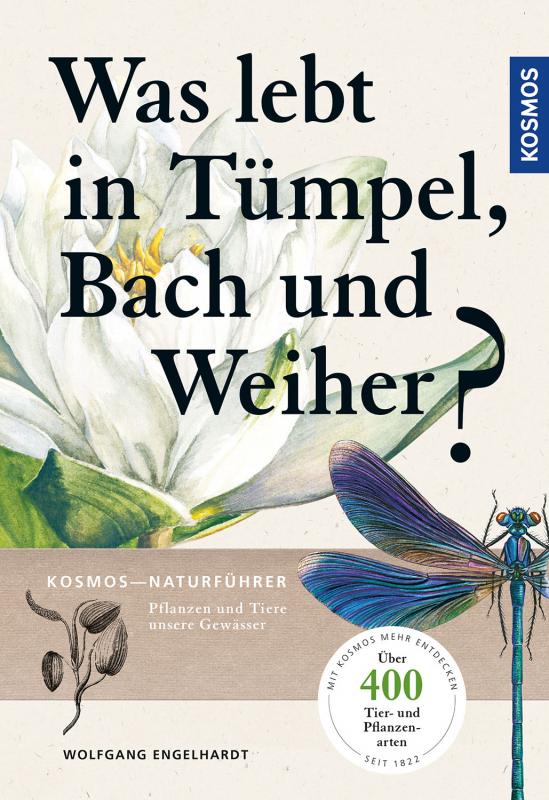 Cover-Bild Was lebt in Tümpel, Bach und Weiher?