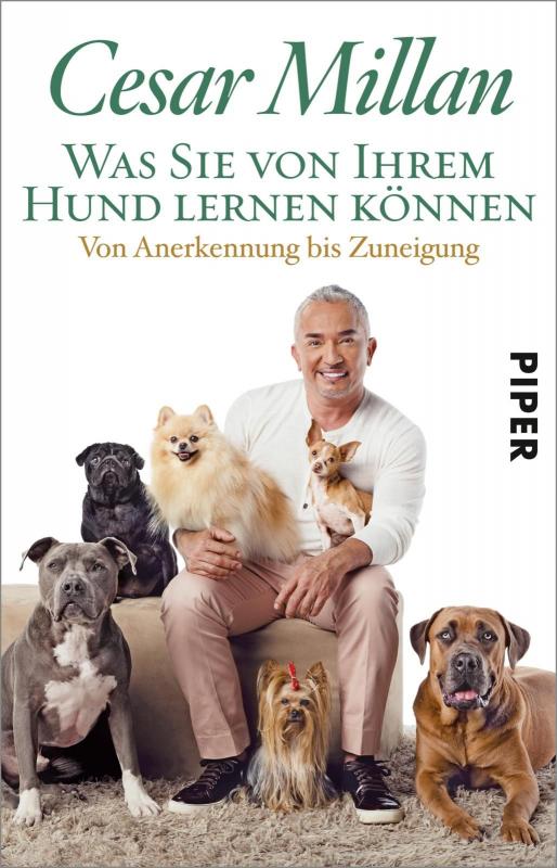 Cover-Bild Was Sie von Ihrem Hund lernen können