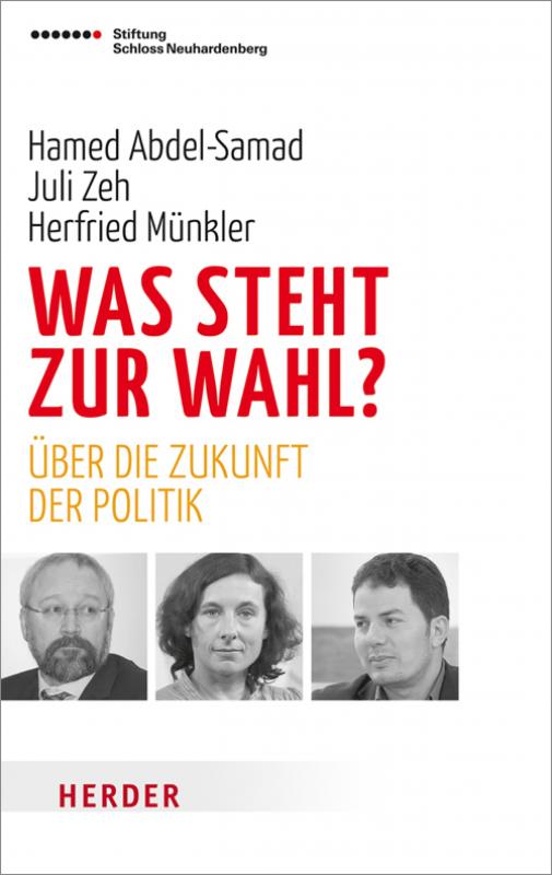 Cover-Bild Was steht zur Wahl?