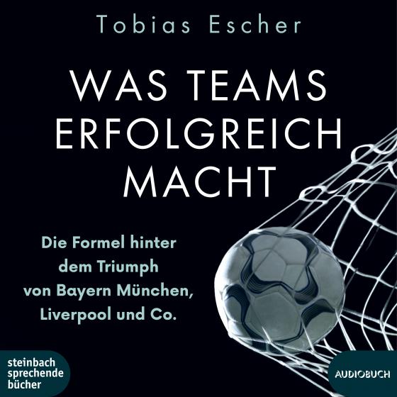 Cover-Bild Was Teams erfolgreich macht