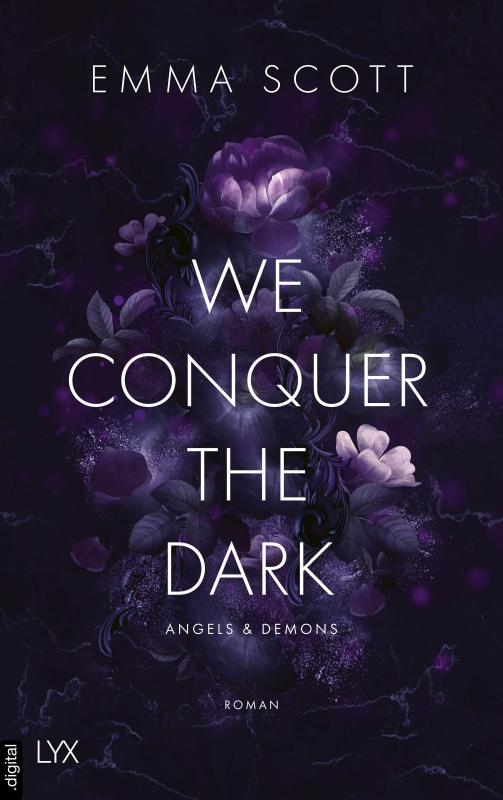 Cover-Bild We Conquer the Dark