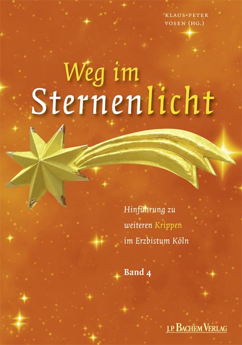 Cover-Bild Weg im Sternenlicht Band 4