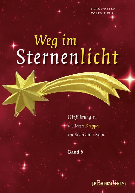 Cover-Bild Weg im Sternenlicht, Band 6