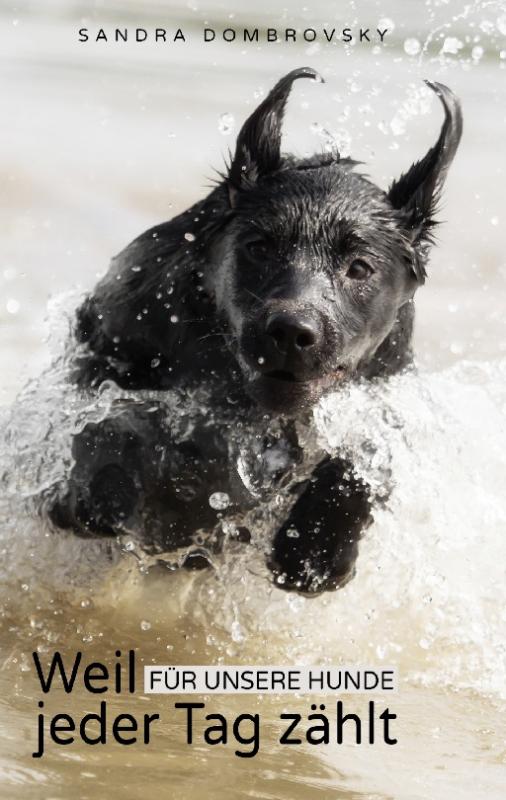 Cover-Bild Weil für unsere Hunde jeder Tag zählt