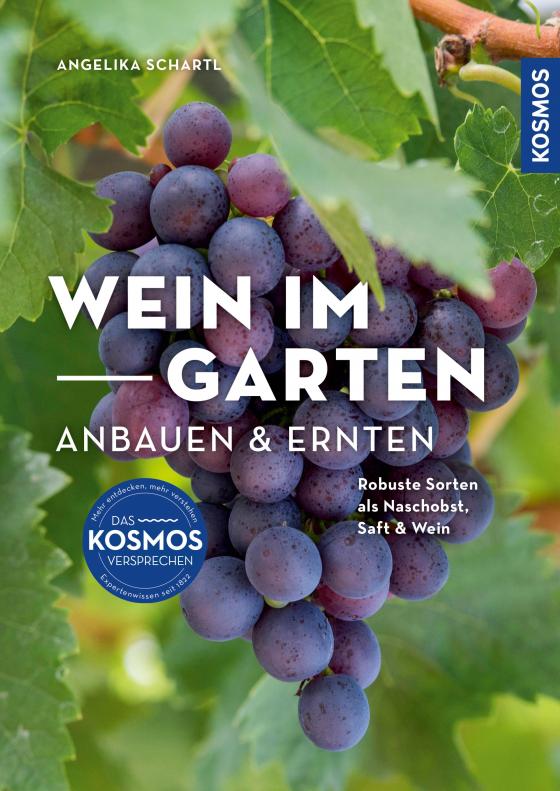 Cover-Bild Wein im Garten anbauen & ernten