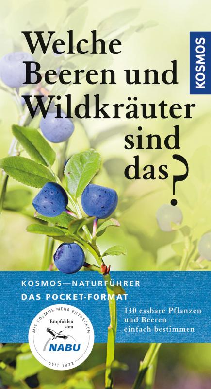 Cover-Bild Welche Beeren und Wildkräuter sind das?