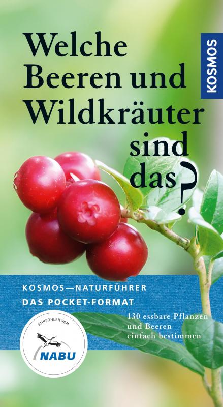 Cover-Bild Welche Beeren und Wildkräuter sind das?