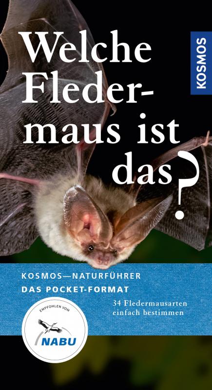 Cover-Bild Welche Fledermaus ist das?