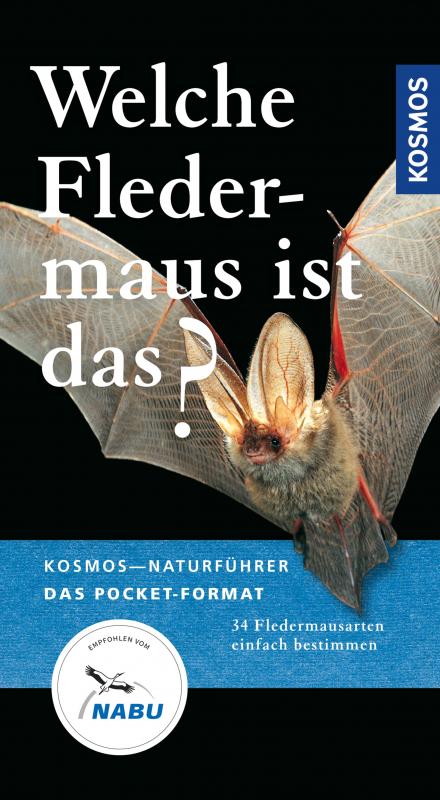 Cover-Bild Welche Fledermaus ist das?