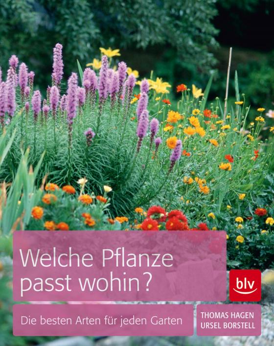 Cover-Bild Welche Pflanze passt wohin?